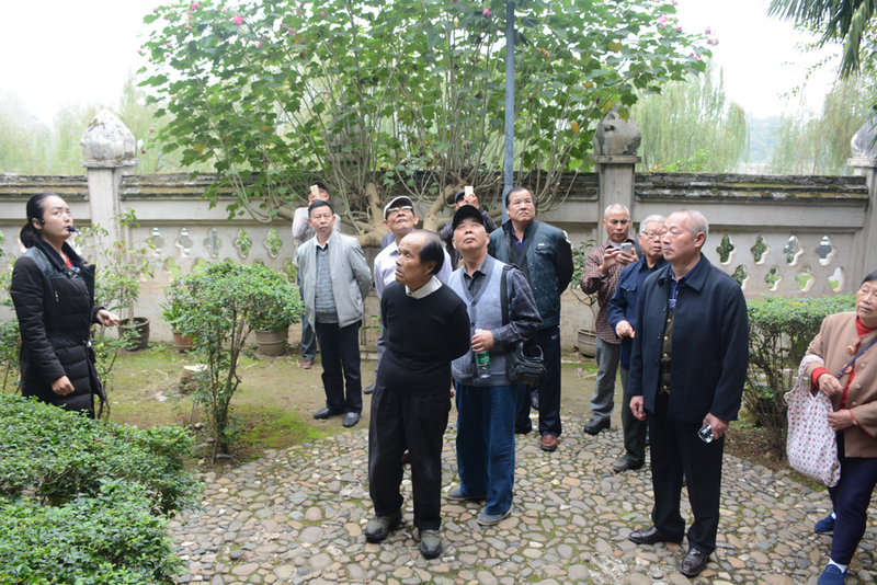 1509355491005003704.jpg DSC_9256.jpg